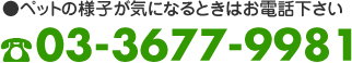 ペットの様子が気になるときはお電話下さい